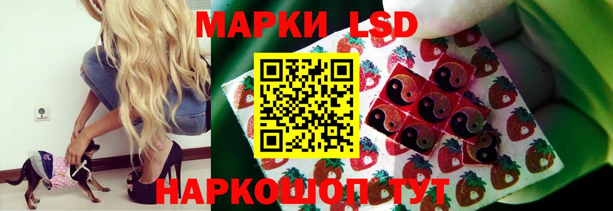 Вологда  ЛСД экстази ecstasy  ЛСД экстази  Лсд 25 экстази кислота  Вход с VPN 