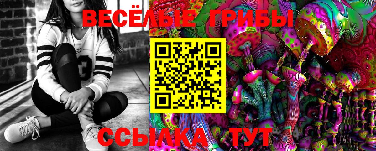 Псилоцибиновые грибы Psilocybine cubensis Вологда