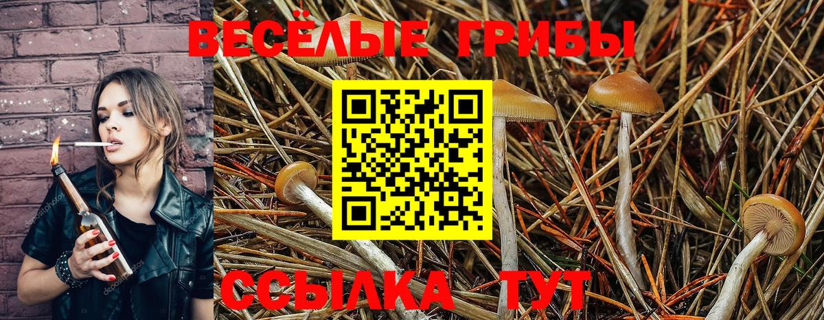 закладки  Вход с VPN  Галлюциногенные грибы мицелий  Вологда  Галлюциногенные грибы Magic Shrooms 